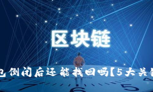 区块链钱包倒闭后还能找回吗?5大关键因素解析