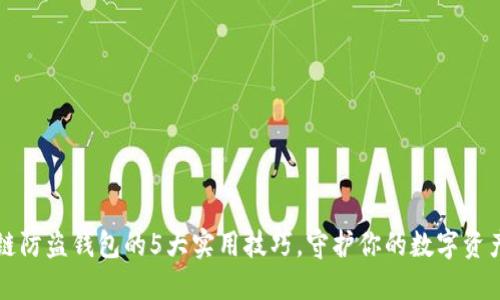 区块链防盗钱包的5大实用技巧,守护你的数字资产安全