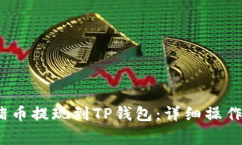 2023年如何将猪币提现到TP钱包:详细操作指南与注意事项