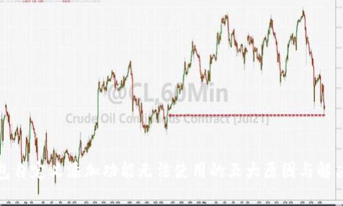 TP钱包自定义添加功能无法使用的五大原因与解决方案