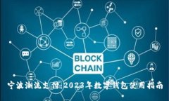 宁波潮流支付：2023年数字钱包使用指