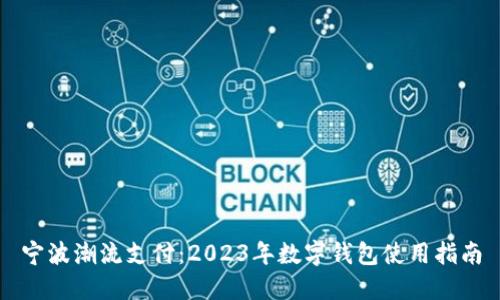 宁波潮流支付：2023年数字钱包使用指南