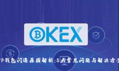 TP钱包闪退原因解析：5大常见问题与解