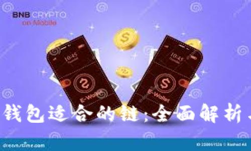 FIL币存TP钱包适合的链：全面解析与实用指南