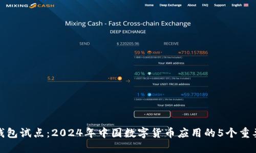 数字钱包试点:2024年中国数字货币应用的5个重要趋势
