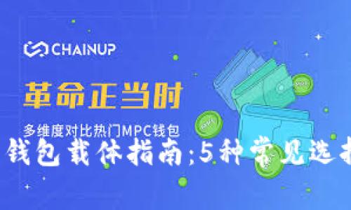 2023年数字钱包载体指南:5种常见选择与应用分析