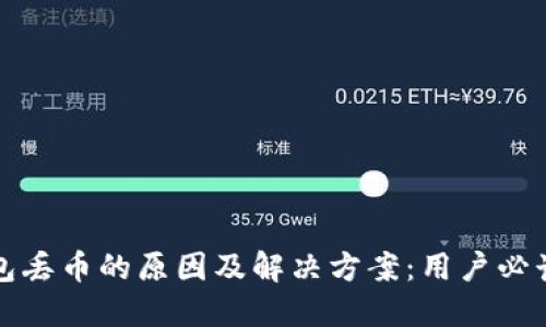 TP钱包丢币的原因及解决方案：用户必读指南