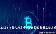 2023年t p钱包打不开的5大常见原因及解