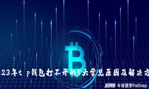 2023年t p钱包打不开的5大常见原因及解决方法