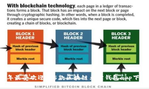 2023年最受欢迎的5款区块链元宝钱包app下载指南