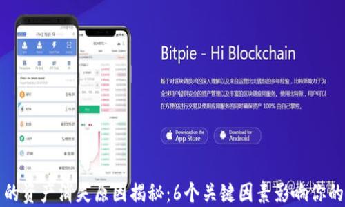 
TP钱包里的资产消失原因揭秘：6个关键因素影响你的数字资产