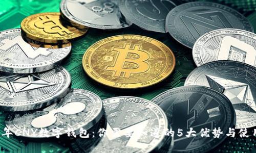 2023年CNY数字钱包:你需要知道的5大优势与使用指南