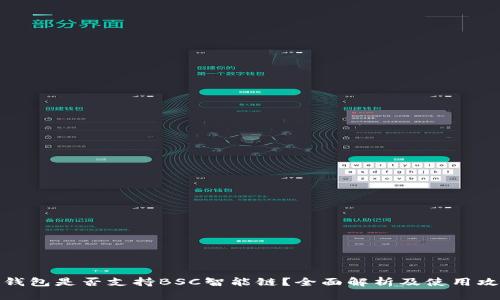 TP钱包是否支持BSC智能链？全面解析及使用攻略