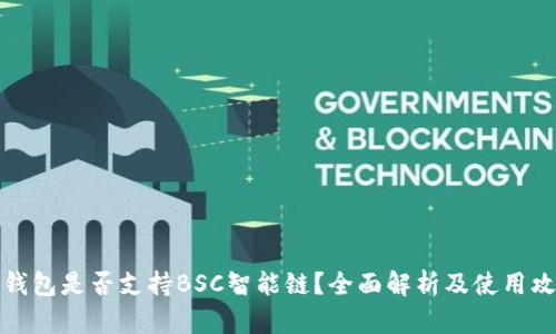 TP钱包是否支持BSC智能链？全面解析及使用攻略