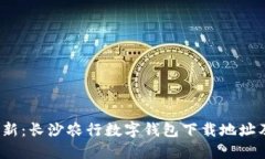 2023年最新：长沙农行数字钱包下载地