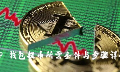 TP 钱包提币所需条件与步骤详解