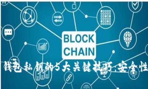 掌握央行数字钱包私钥的5大关键技巧:安全性与易用性并重