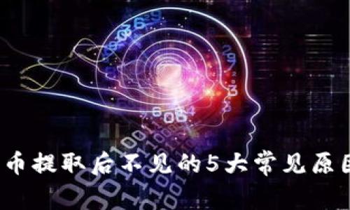 揭秘:TP钱包币提取后不见的5大常见原因及解决方法