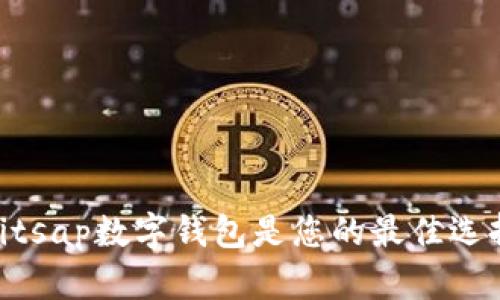 2023年最新：为何Bitsap数字钱包是您的最佳选择？3大理由助您决策