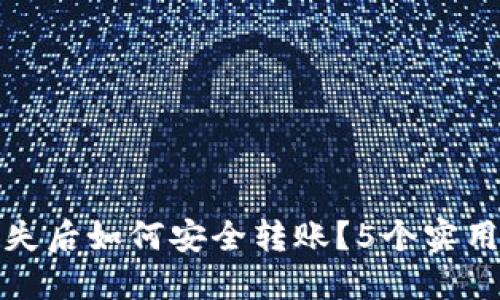 和关键词

TP钱包私钥丢失后如何安全转账？5个实用技巧教你应对