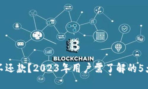 数字钱包不还款?2023年用户需了解的5大关键因素