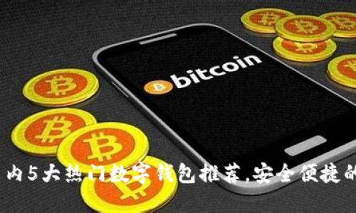 2023年国内5大热门数字钱包推荐，安全便捷的支付体验