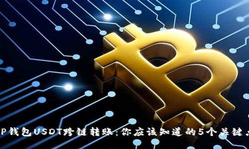 TP钱包USDT跨链转账：你应该知道的5个关键点
