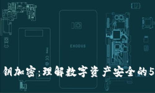 TP钱包私钥加密：理解数字资产安全的5个关键点