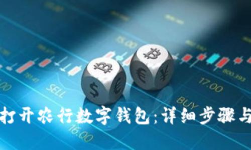 如何轻松打开农行数字钱包：详细步骤与实用技巧
