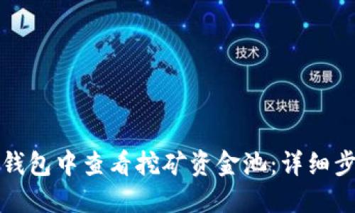 如何在TP钱包中查看挖矿资金池:详细步骤与技巧
