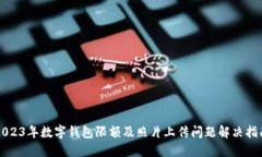 2023年数字钱包限额及照片上传问题解