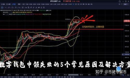 数字钱包申领失败的5个常见原因及解决方案