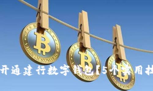 如何成功预约开通建行数字钱包?5个实用技巧与步骤解析