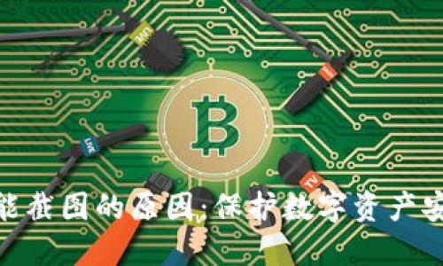 TP钱包私钥不能截图的原因:保护数字资产安全的五大关键