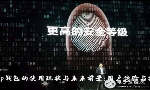 2023年t p钱包的使用现状与未来前景:用户体验与安全性分析