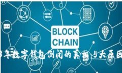 2023年数字钱包倒闭的真相：5大原因揭