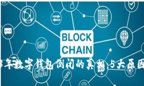 2023年数字钱包倒闭的真相:5大原因揭秘
