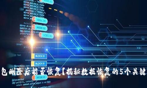 TP钱包删除后能否恢复?揭秘数据恢复的5个关键步骤