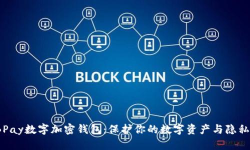 2023年BBPay数字加密钱包:保护你的数字资产与隐私的7大秘诀