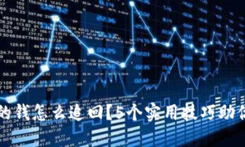 TP钱包转出去的钱怎么追回?5个实用技巧助你成功找回资产