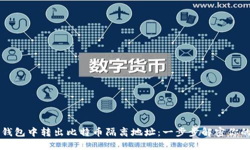 如何从TP钱包中转出比特币隔离地址:一步步解密你的数字资产