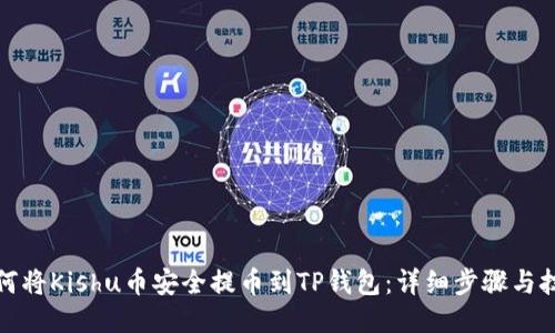 如何将Kishu币安全提币到TP钱包:详细步骤与技巧
