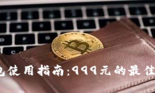 2023年数字钱包使用指南：999元的最佳选择与管理技巧