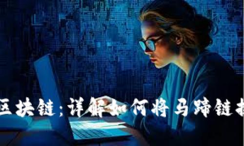 2023年TP钱包转区块链:详解如何将马蹄链换成BSC的5个步骤