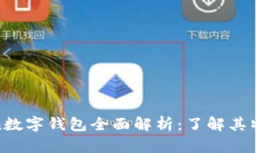 Plustoken数字钱包全面解析:了解其特点与风险