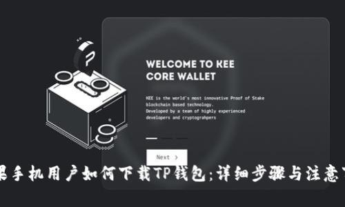 苹果手机用户如何下载TP钱包:详细步骤与注意事项