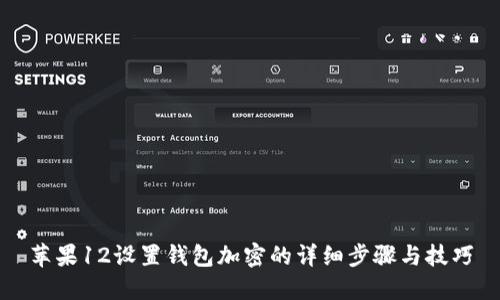 苹果12设置钱包加密的详细步骤与技巧