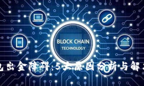TP钱包出金障碍：5大原因分析与解决方案