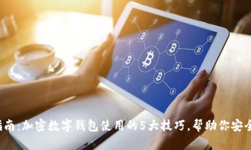 2023年终极指南：加密数字钱包使用的5大技巧，帮助你安全管理数字资产