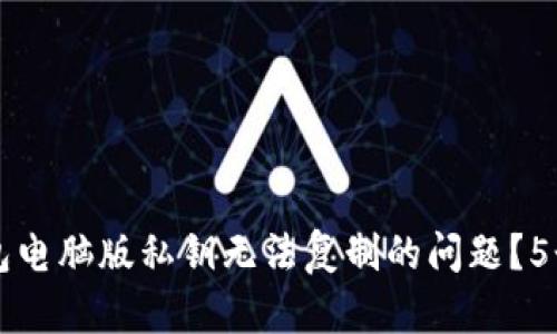如何解决TP钱包电脑版私钥无法复制的问题？5个实用技巧分享